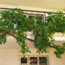 Пансионат «СуперСтар»  ул. Лазурная Долина фото